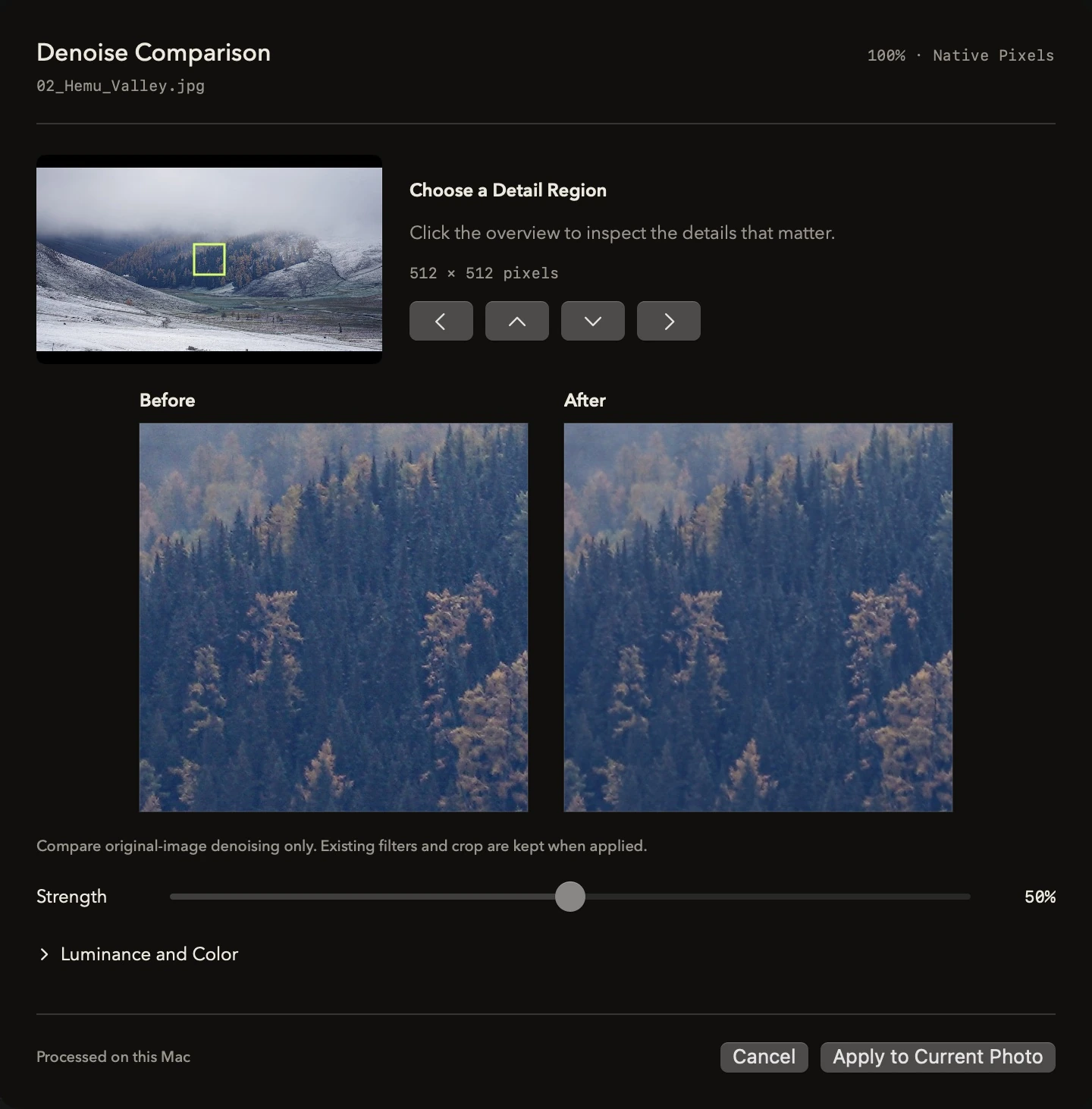 Siftroom on-device denoise comparison with native-pixel detail and strength controls